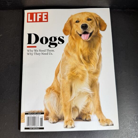 Dog Media Bundle [Book 284] - Picture 3 of 8